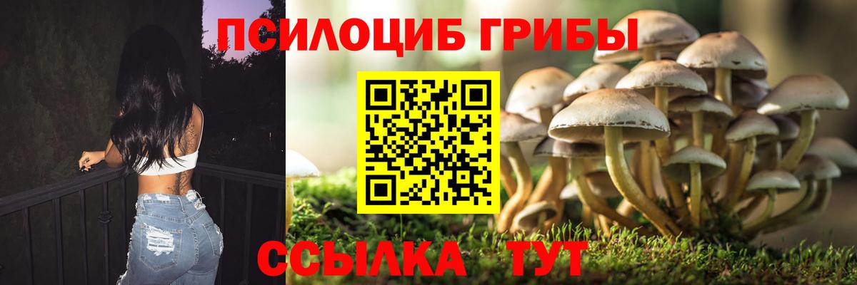 Калининград  Псилоцибиновые грибы Magic Shrooms  Вход с VPN 